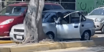 Se cuelga de su coche para impedir asalto en Puebla; detienen al presunto ladrón