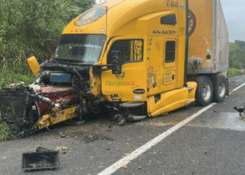 Choque entre tráiler y vehículo de reparto deja dos fallecidos en Veracruz