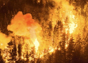 Teorías antisemitas resurgen tras incendios en la Patagonia argentina