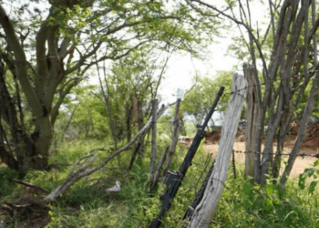 Hombre pierde la vida por explosión en mina artesanal