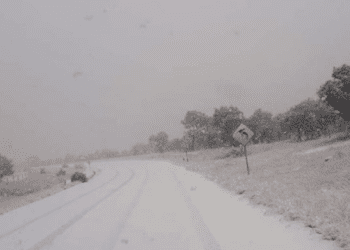 Nevadas obligan a cerrar carretera clave en el norte de Chihuahua