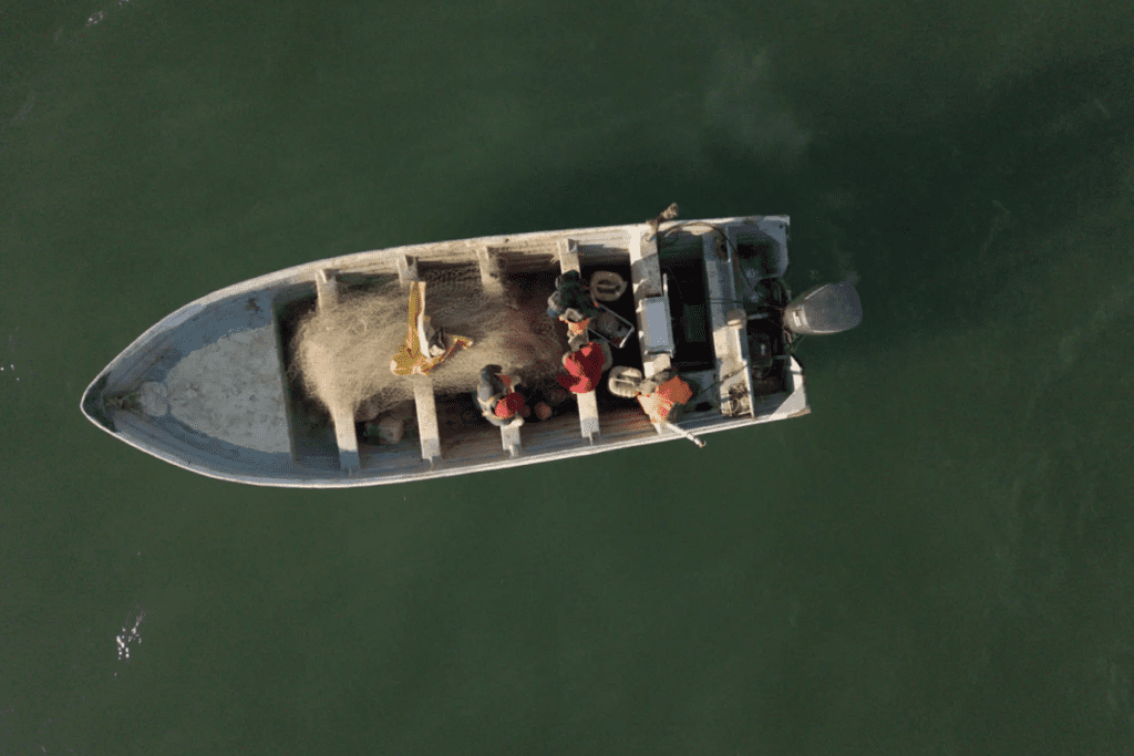 Alertan ambientalistas: recorte de zonas protegidas pone en riesgo extremo a la vaquita marina