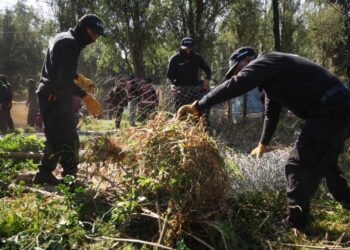 Gobierno capitalino interviene en Xochimilco y rescata área protegida afectada por asentamientos irregulares