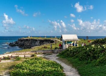 Despegar reporta alza constante en el interés por viajar a Isla Mujeres