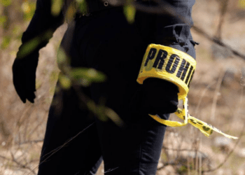 ¡Macabro hallazgo en Tabasco! Descubren fosa clandestina con seis cuerpos en Paraíso; restos tendrían años ocultos bajo tierra